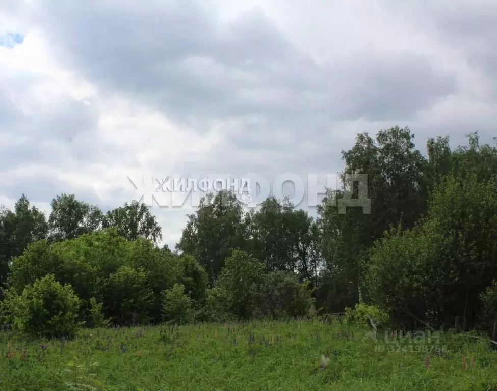 Участок в Новосибирская область, Новосибирский район, Барышевский ... - Фото 2