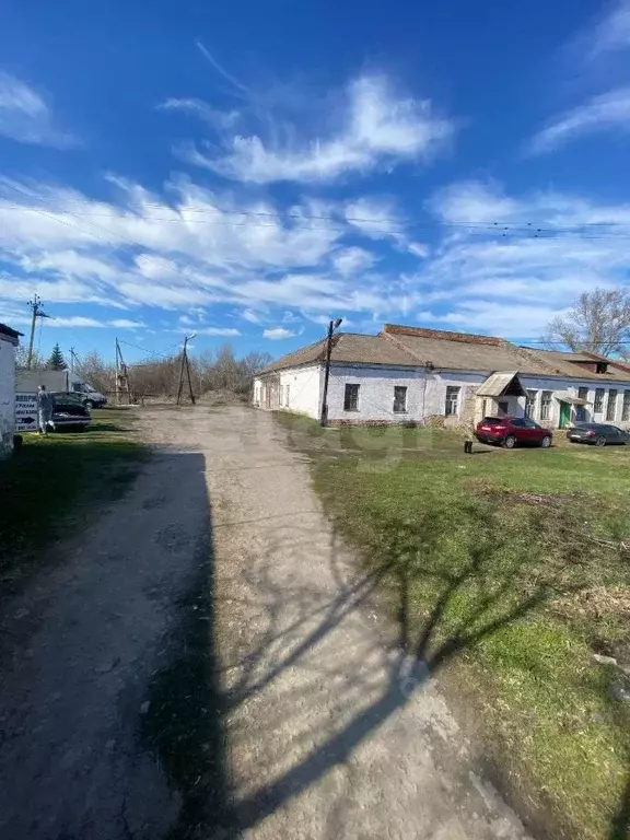 Торговая площадь в Орловская область, Кромы пгт ул. 30 лет Победы, 2 ... - Фото 1