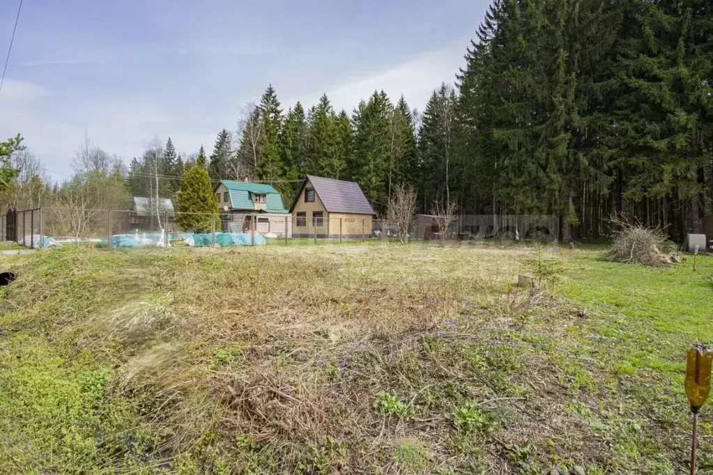 Участок в Москва Зеленые Дубки-3 СНТ,  (6.0 сот.) - Фото 2