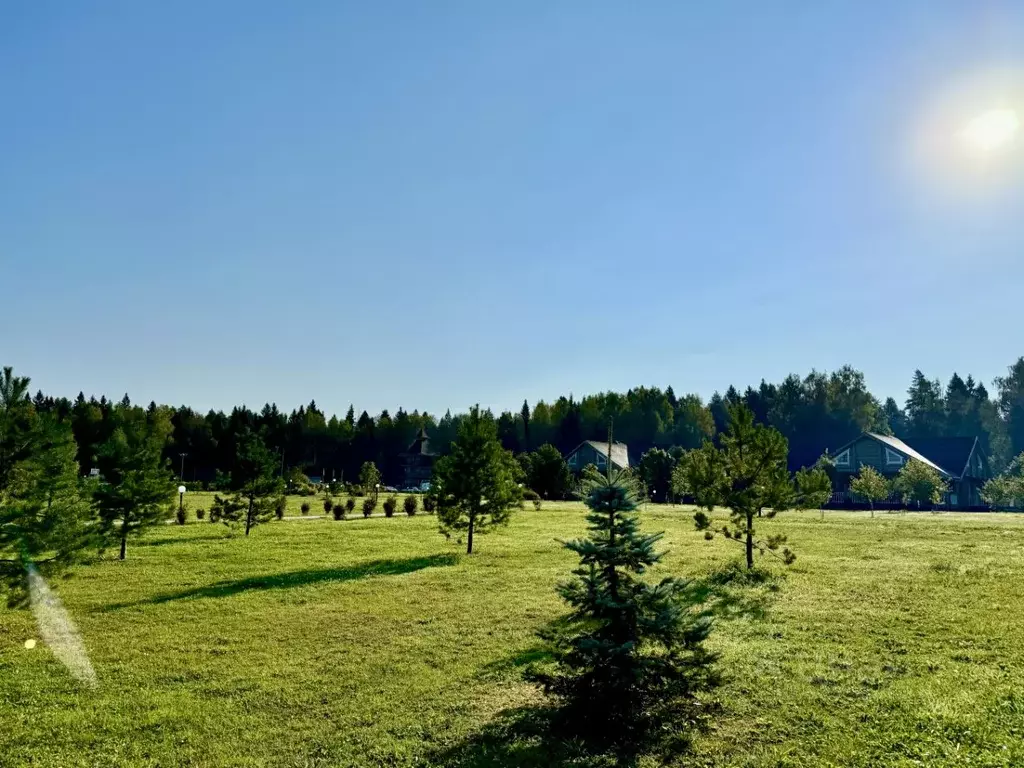 Участок в Московская область, Истра муниципальный округ, Снегири пгт ... - Фото 1