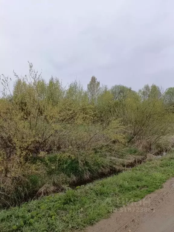 Участок в Московская область, Талдомский городской округ, д. ... - Фото 1
