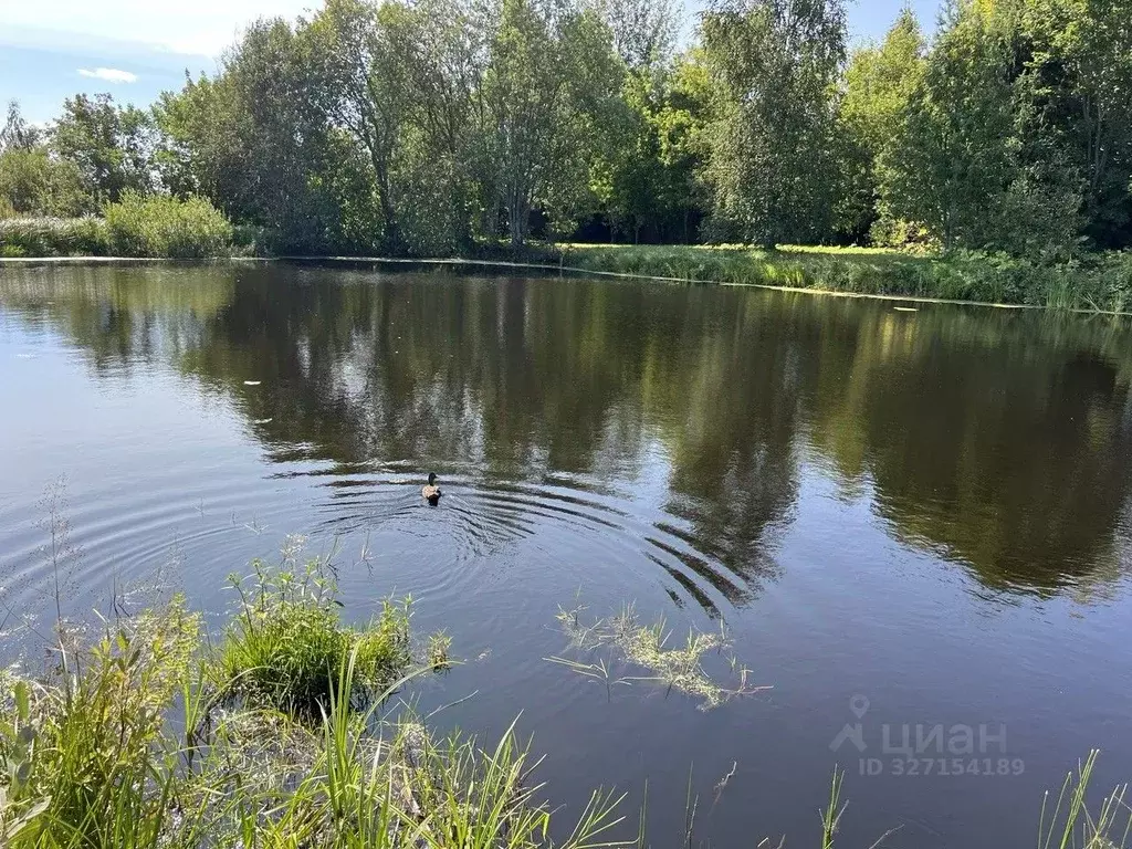 Участок в Московская область, Истра муниципальный округ, с. Онуфриево ... - Фото 2