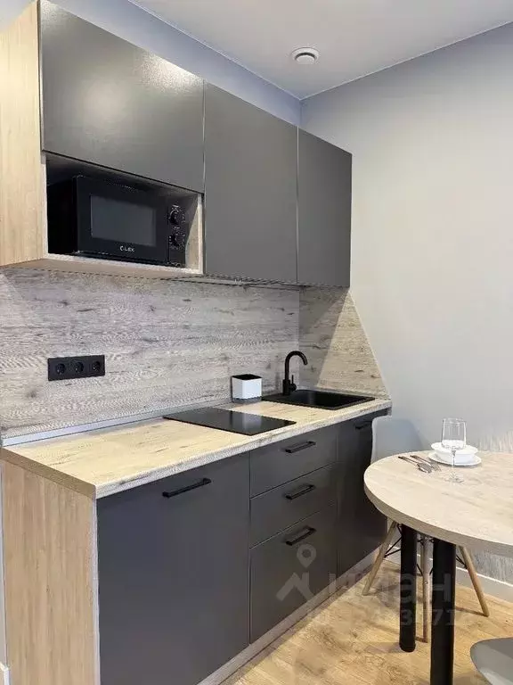 Студия Санкт-Петербург просп. Энергетиков, 2к2 (30.0 м) - Фото 2