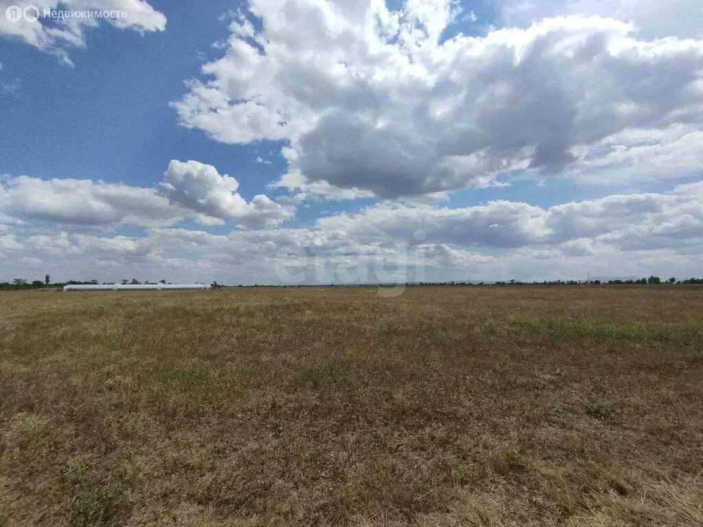 Участок в Симферопольский район, посёлок городского типа Молодёжное (6 ... - Фото 1
