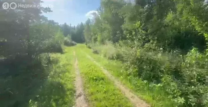 Участок в Новгородская область, Маловишерское городское поселение, ... - Фото 0