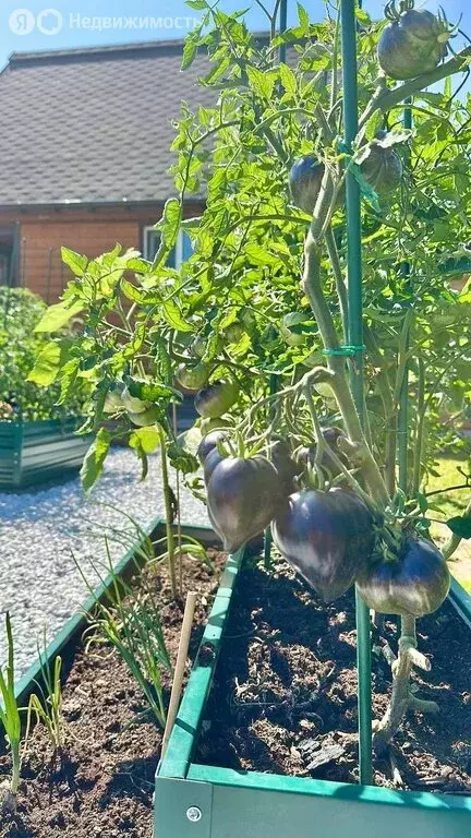 Дом в Московская область, городской округ Серпухов, коттеджный посёлок ... - Фото 1