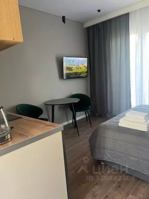 Студия Краснодарский край, Сочи Кленовая ул., 9 (25.0 м) - Фото 1