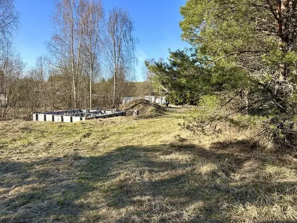 Участок в Ленинградская область, Лодейнопольский район, Доможировское ... - Фото 2