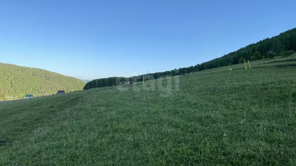 Участок в Алтай, Майминский район, с. Бирюля ул. Таркольская (7.4 ... - Фото 2