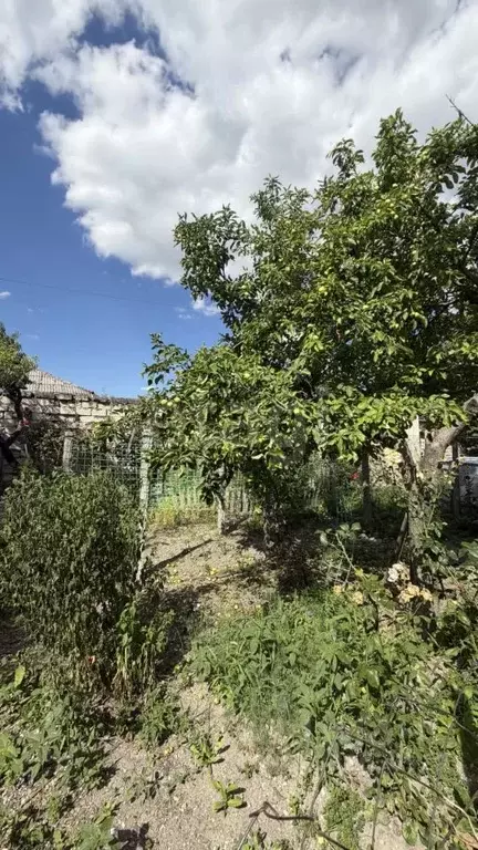 2-к кв. Крым, Белогорск ул. Щелкина, 1 (34.5 м) - Фото 0
