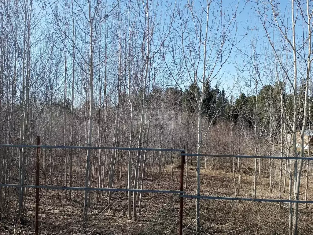 Участок 15,3 сот. (личное подсобное хозяйство (лпх)) - Фото 0