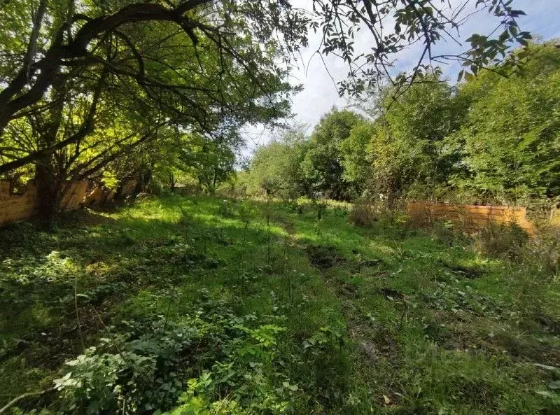 Участок в Ставропольский край, Изобильненский муниципальный округ, ... - Фото 2