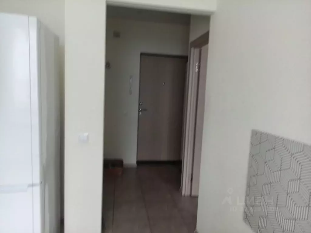 1-к кв. Ленинградская область, Гатчинский муниципальный округ, д. ... - Фото 2