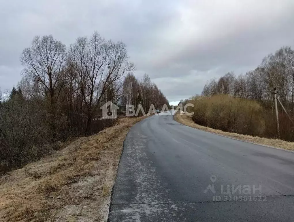 Участок в Владимирская область, Судогодский район, Лавровское ... - Фото 1