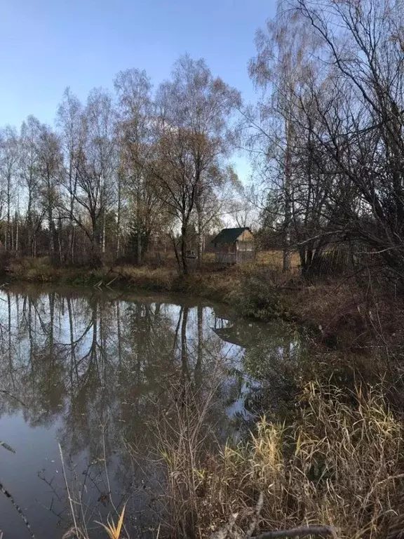 Участок в Алтай, Турочакский район, с. Озеро-Куреево  (80.0 сот.) - Фото 0