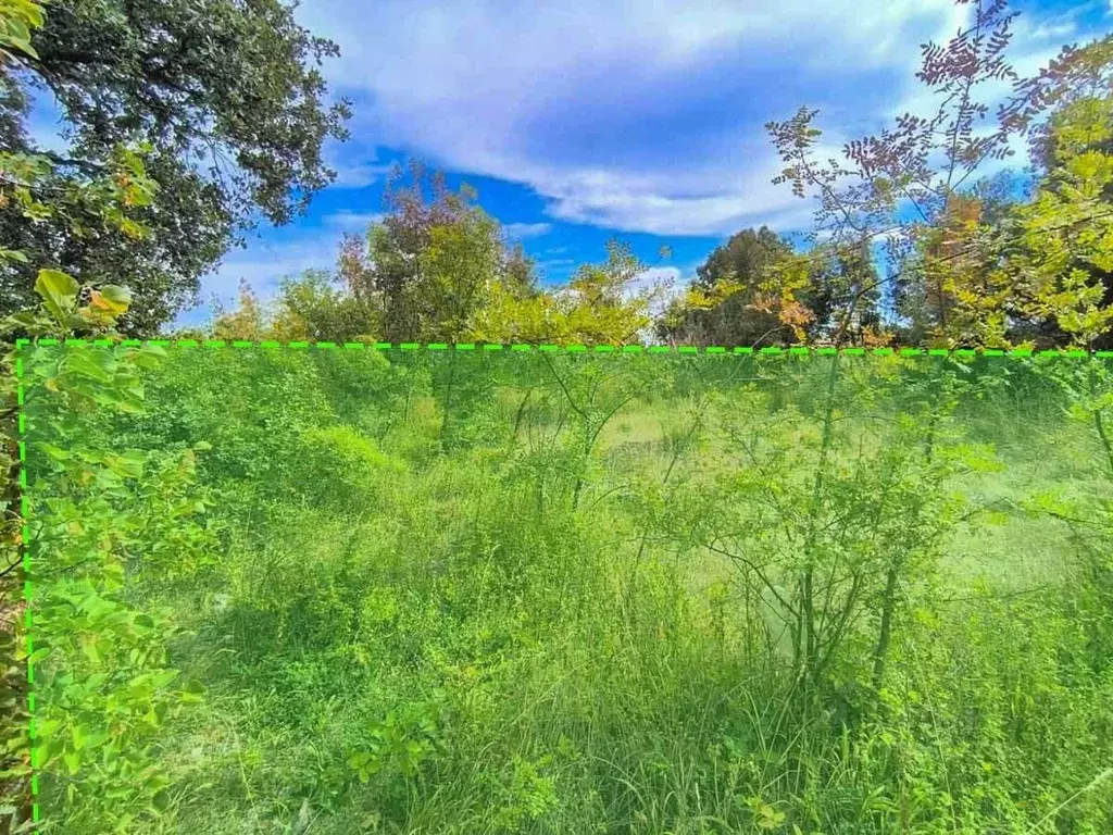 Участок в Крым, Алушта городской округ, с. Малый Маяк ул. Виноградная ... - Фото 1