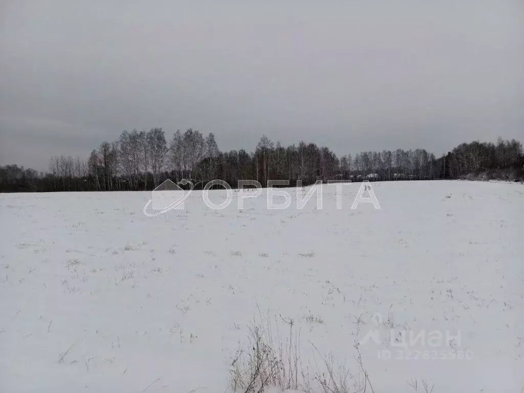 Участок в Тюменская область, Тюменский муниципальный округ, д. ... - Фото 0