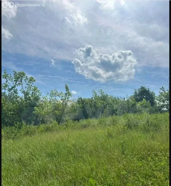 Участок в Челябинская область, Сосновский муниципальный округ, посёлок ... - Фото 1