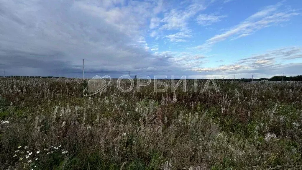 Участок в Тюменская область, Тюменский муниципальный округ, с. Кулига  ... - Фото 2