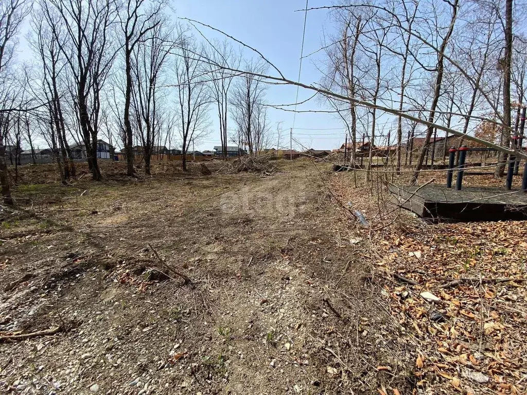 Погода в шмидтовке приморского края. Дорога через шмидтовку. Погода в шмидтовке приморского края. Приморский край, шмидтовка, ул. Погода в шмидтовке приморского края.