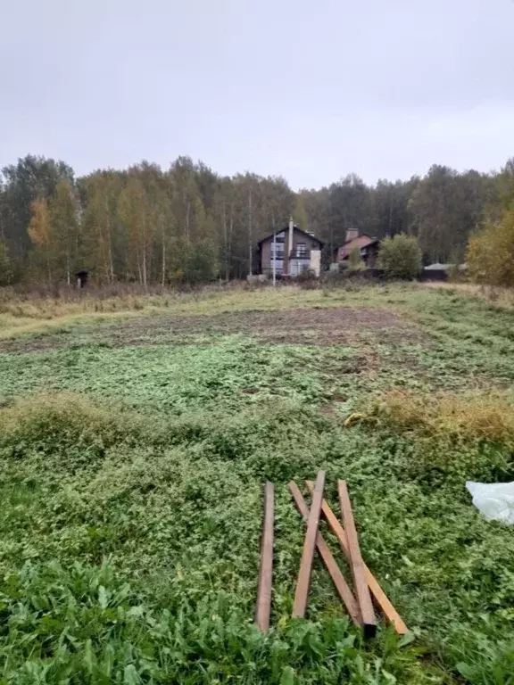 Участок в Ярославская область, Ярославский муниципальный округ, д. ... - Фото 0