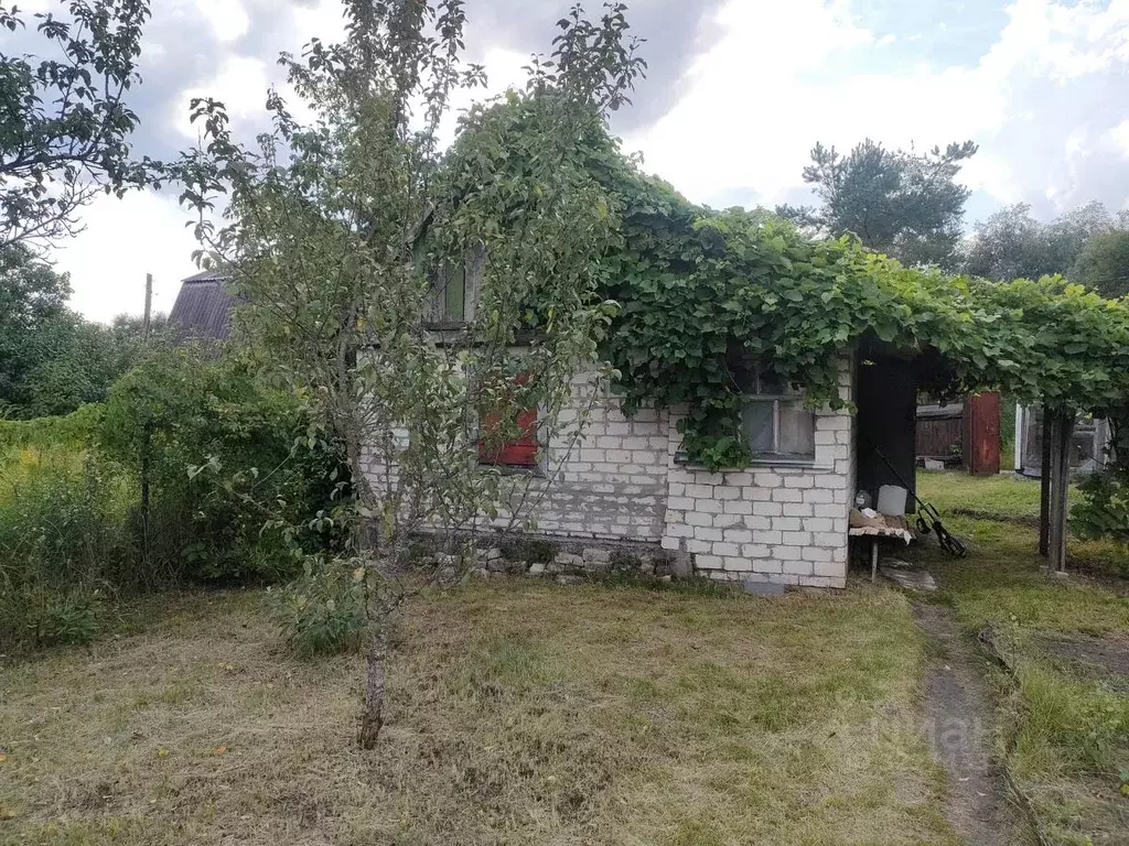 Дом в Брянская область, Брянск Вишня-2 садовое общество, ул. Береговая ... - Фото 2