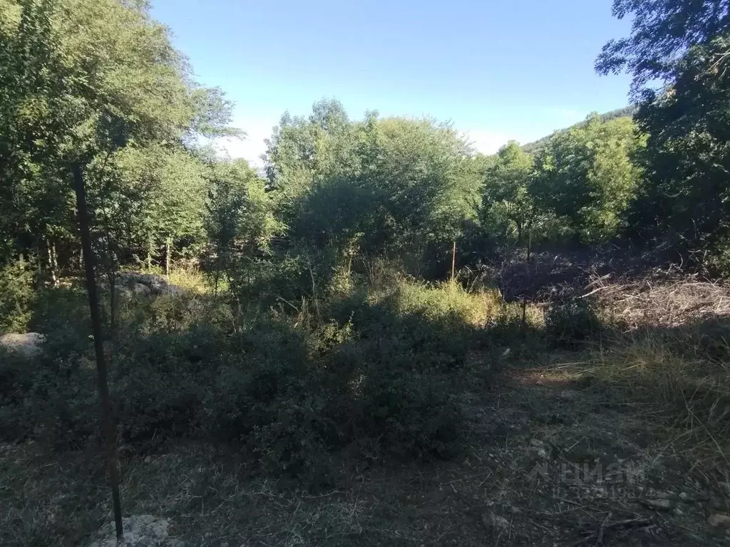 Участок в Севастополь с. Родниковское,  (10.0 сот.) - Фото 1
