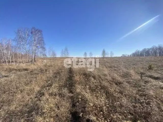 Участок в Красноярский край, Емельяновский район, Шуваевский ... - Фото 0