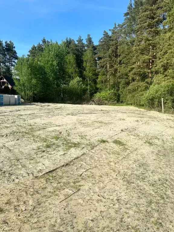 Участок в Московская область, Раменский городской округ, д. Литвиново ... - Фото 0