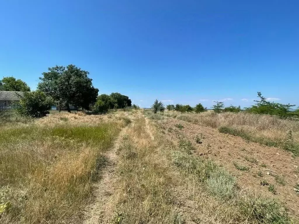 Участок в Крым, Раздольненский район, Славновское с/пос, с. Стерегущее ... - Фото 1