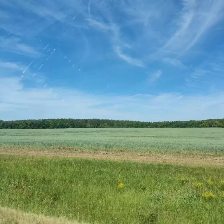 Участок в Татарстан, Мензелинский район, Подгорно-Байларское с/пос, с. ... - Фото 0