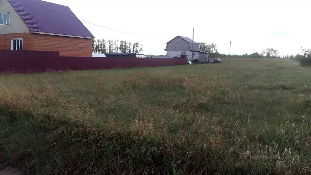 Александровская усадьба Омск. Александровская усадьба Омск фото. Дачник Дружино.