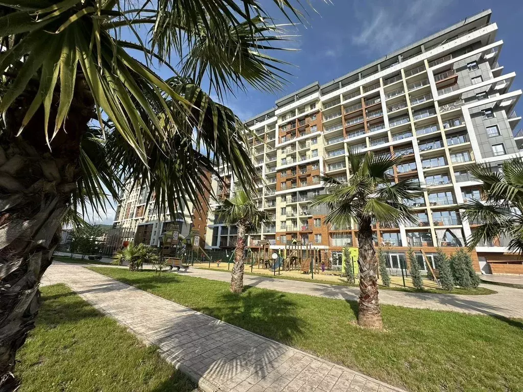 Студия Краснодарский край, Сочи городской округ, Дагомыс пгт ул. ... - Фото 2