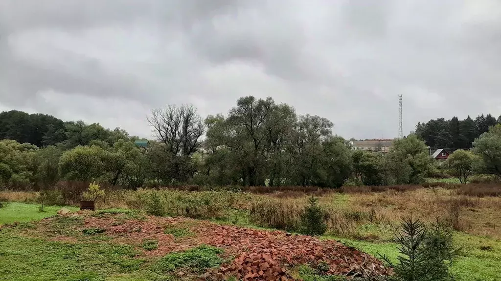 Сельское поселение истья калужская область