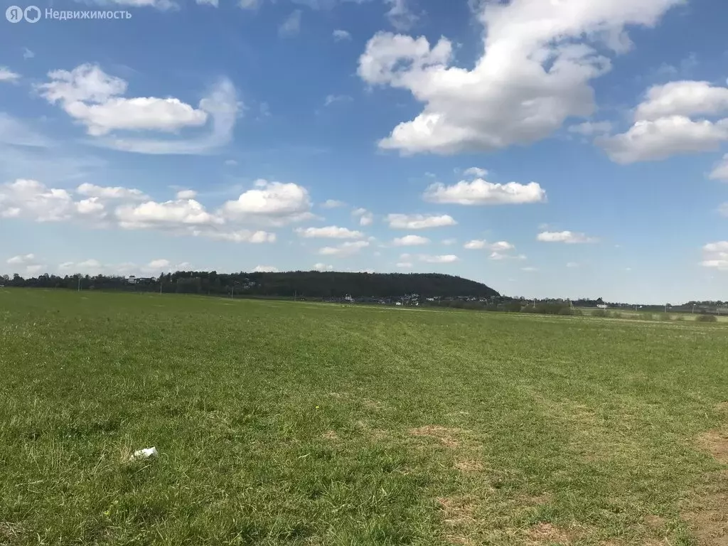 Участок в городской посёлок Тайцы, Тихая улица, 14 (11 м) - Фото 0