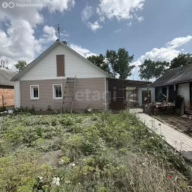 Дом в Белгородская область, Корочанский муниципальный округ, село ... - Фото 2