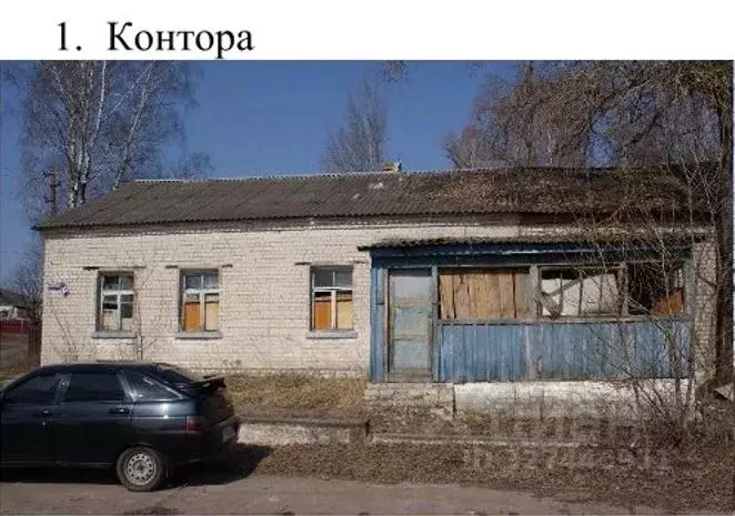 Помещение свободного назначения в Брянская область, Брасовский район, ... - Фото 1