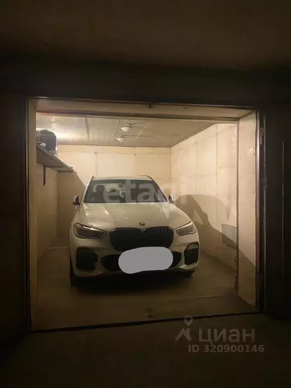 Гараж в Амурская область, Благовещенск ул. 50 лет Октября, 239 (21 м) - Фото 1