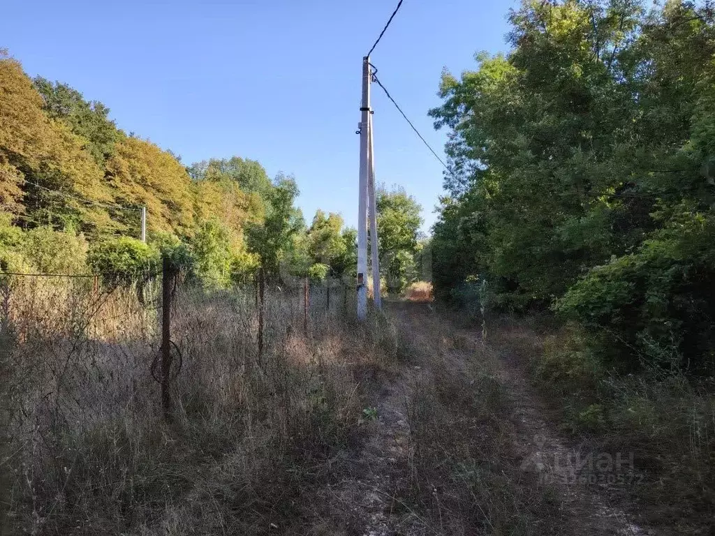Участок в Краснодарский край, Геленджик городской округ, с. Адербиевка ... - Фото 2