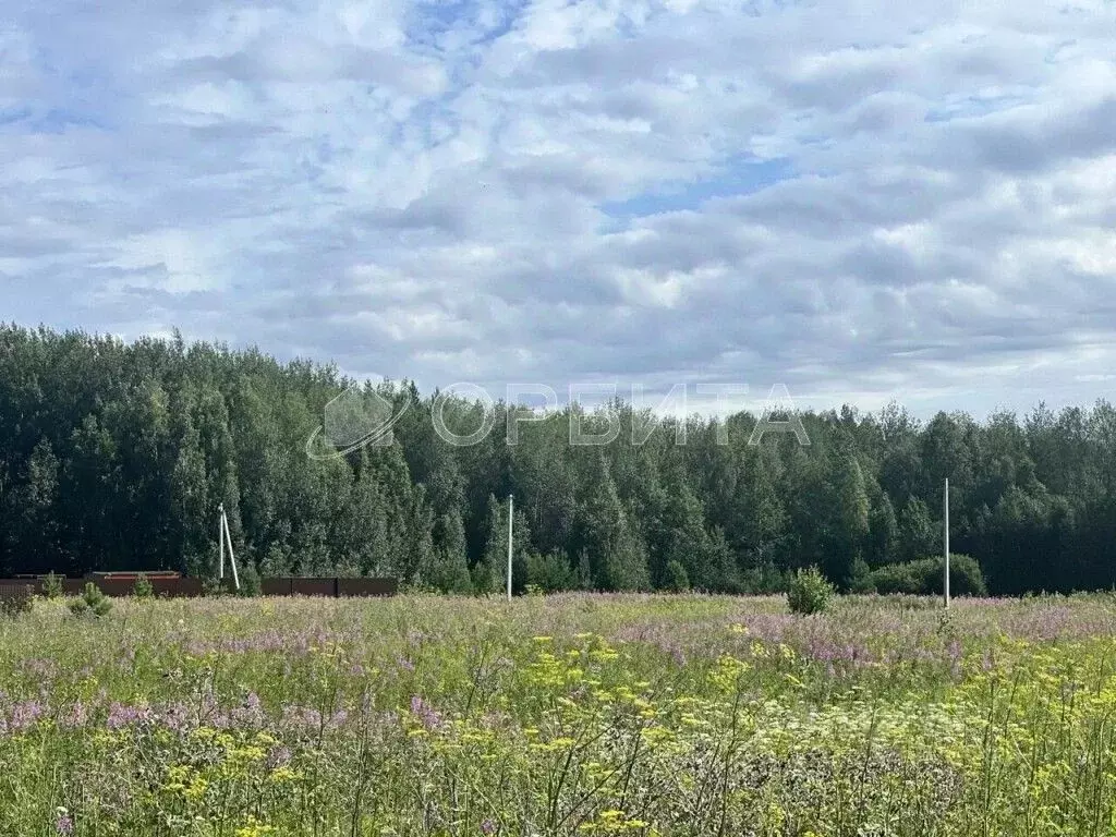 Участок в Тюменская область, Тюменский район, с. Кулига, Кулига-2 мкр  ... - Фото 1