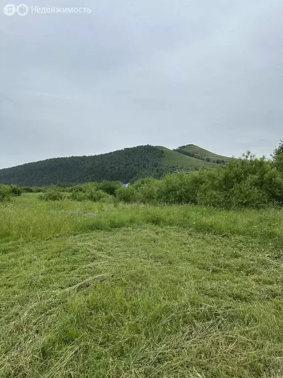 Участок в Солонцовский сельсовет (6 м) - Фото 1