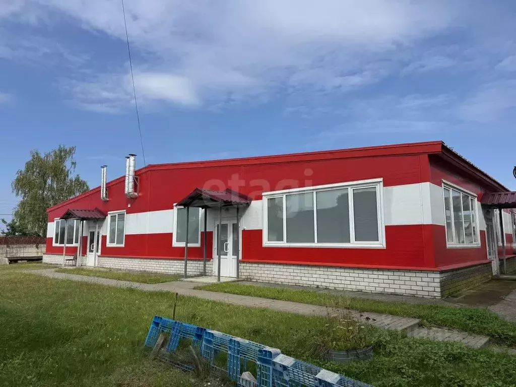 Склад в Брянская область, Брянск ул. Абашева, 19 (12000 м) - Фото 1