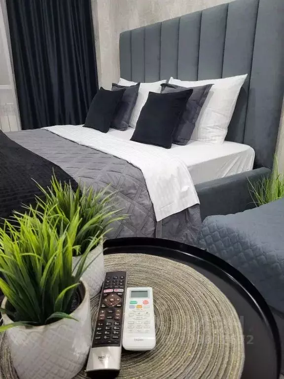 Студия Хакасия, Абакан ул. Кирова, 120А (45.0 м) - Фото 1