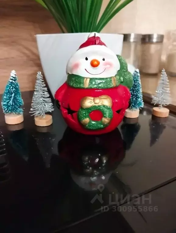 Студия Ленинградская область, Мурино Всеволожский район, просп. ... - Фото 2