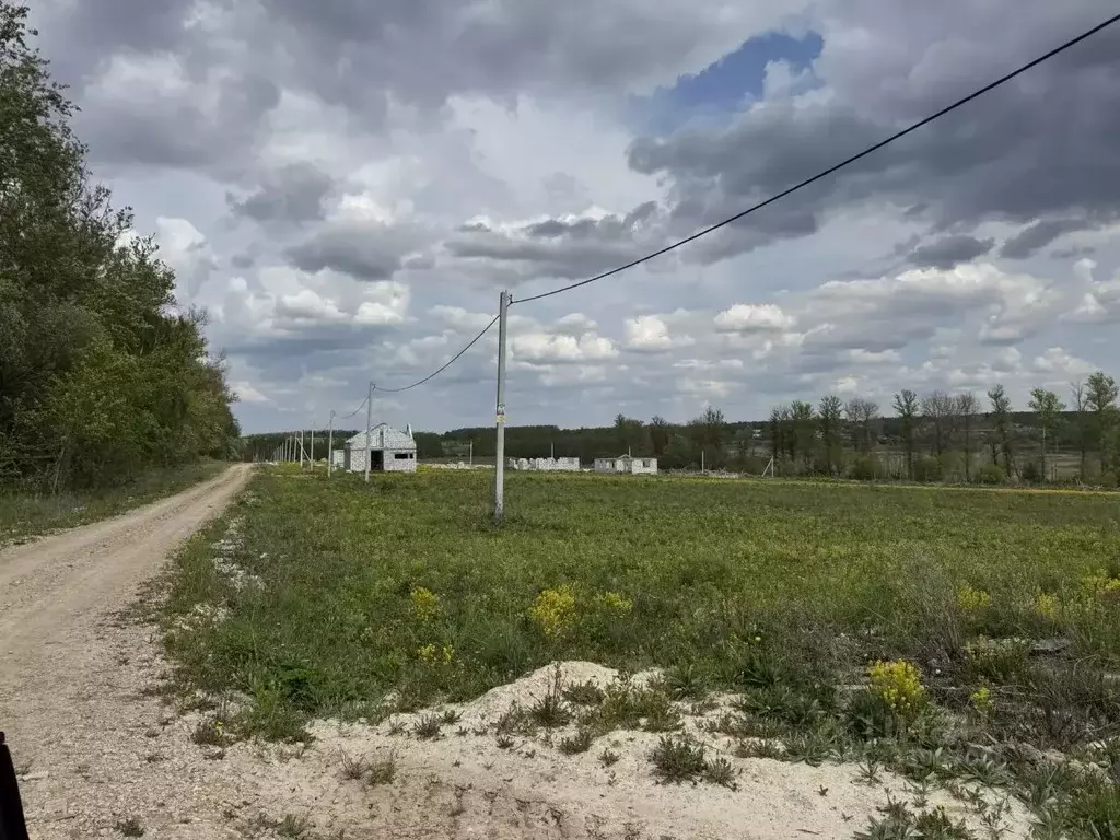 Участок в Тульская область, Тула городской округ, д. Янчерево  (8.0 ... - Фото 2