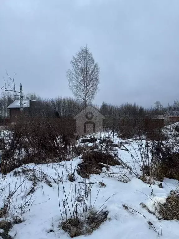Участок в Ярославская область, Ярославский муниципальный округ, д. ... - Фото 2