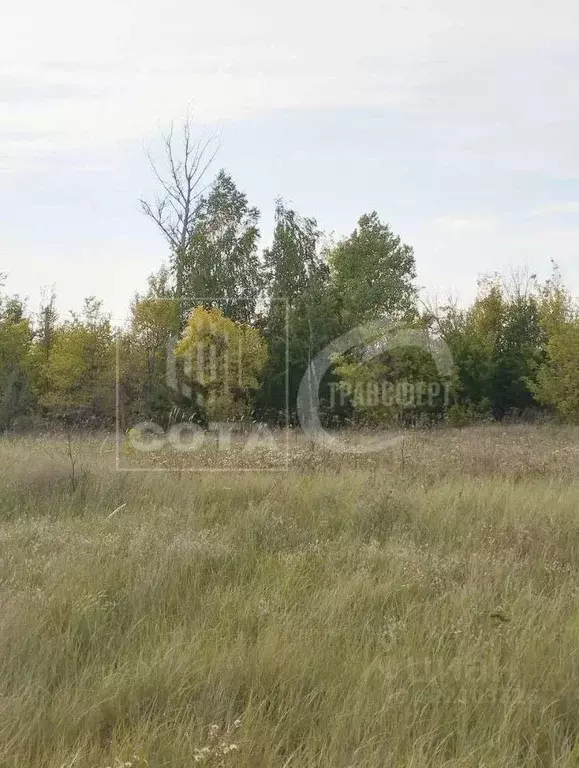 Участок в Воронежская область, Воронеж проезд Сельский (8.0 сот.) - Фото 2