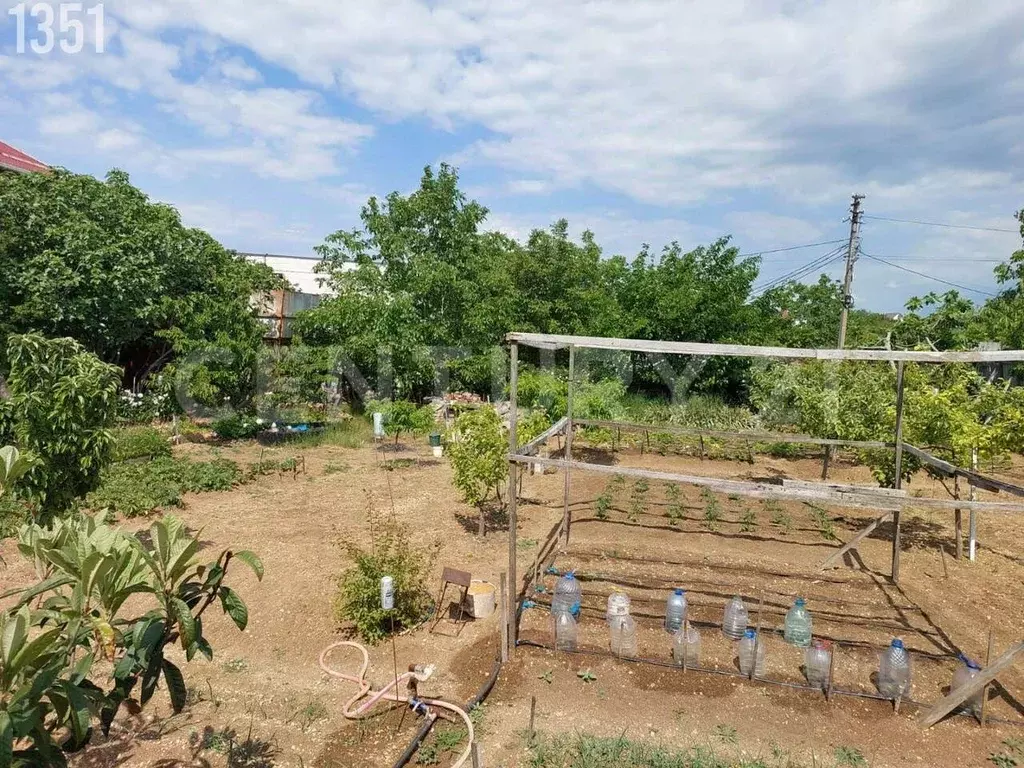 Участок в Севастополь Металлист садовое товарищество, 255 (6.0 сот.) - Фото 2