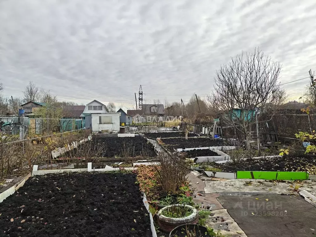 Участок в Пензенская область, Пенза Казенный Сад СНТ, 435 (4.0 сот.) - Фото 2