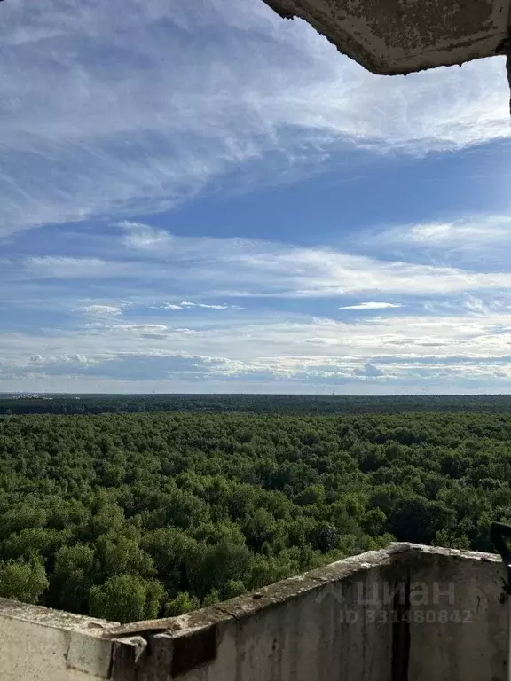 3-к кв. Московская область, Красногорск Губайлово мкр, ул. Пушкинская, ... - Фото 2